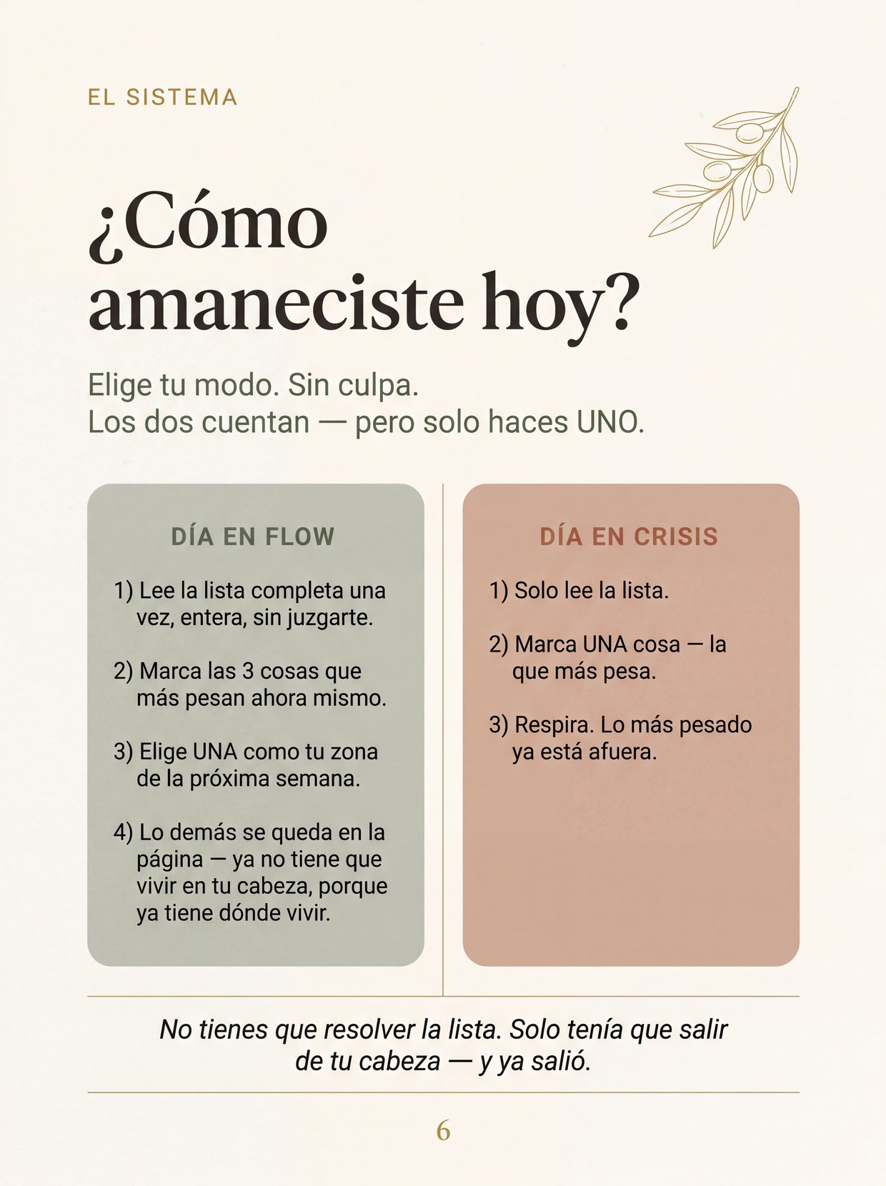La página real del sistema: Día en Flow / Día en Crisis